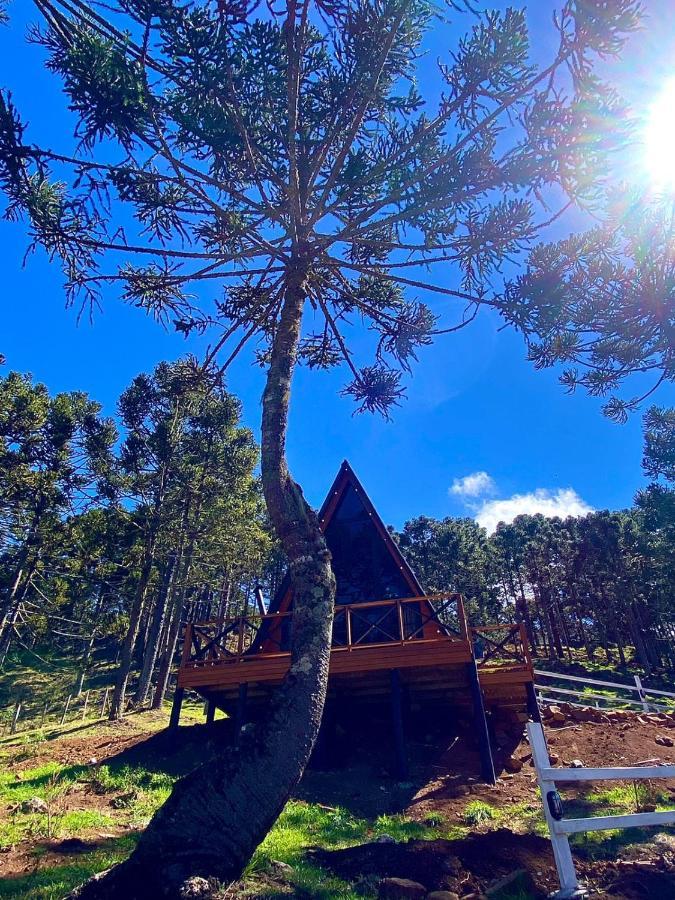 Urubici - Cabana Da Montanha Mundo Novo  Eksteriør bilde